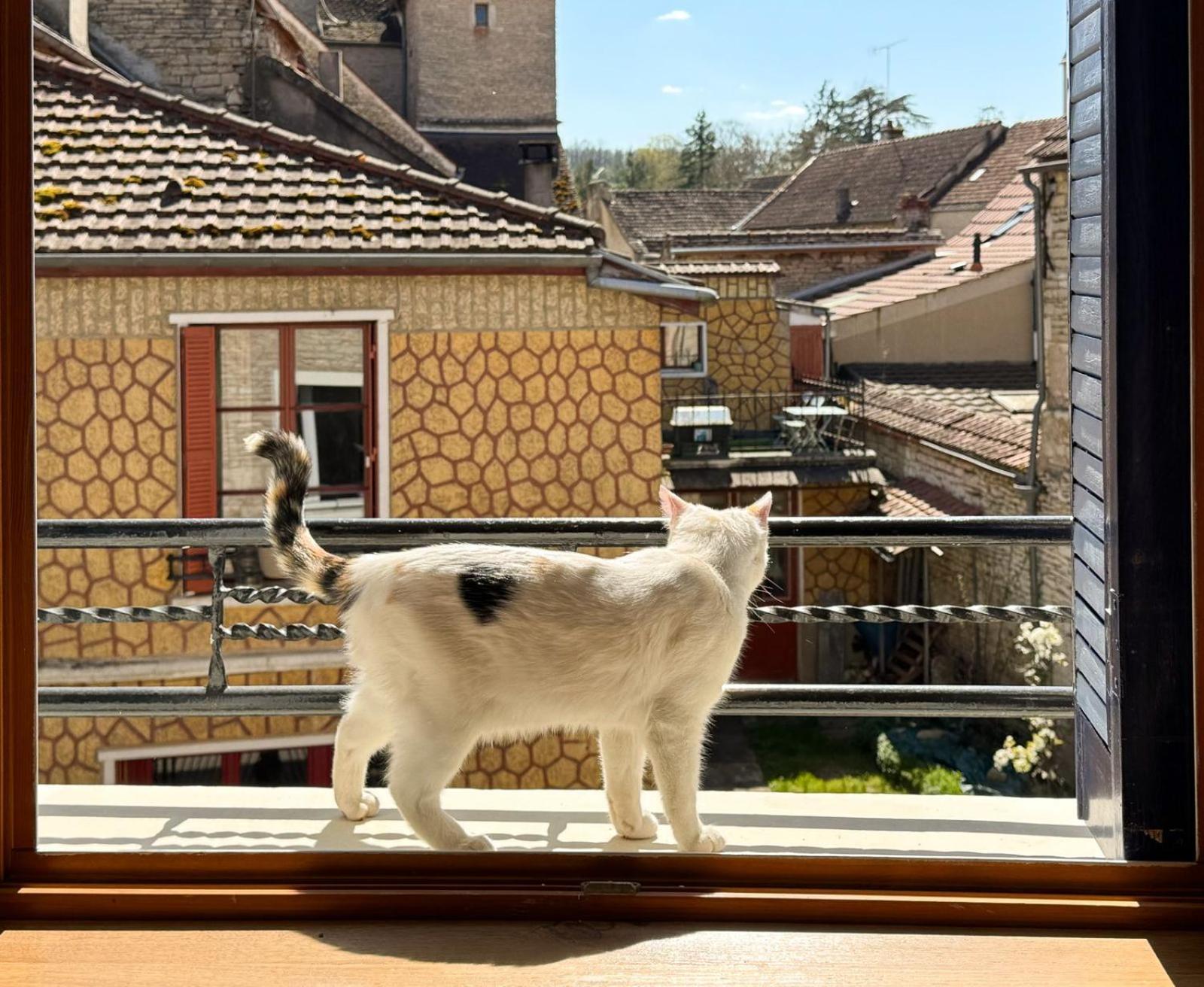 La Petite Maison ノワイェ・シュル・スラン エクステリア 写真